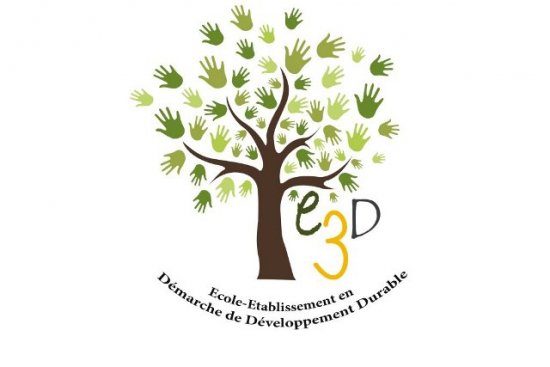 Formation Education au Développement Durable