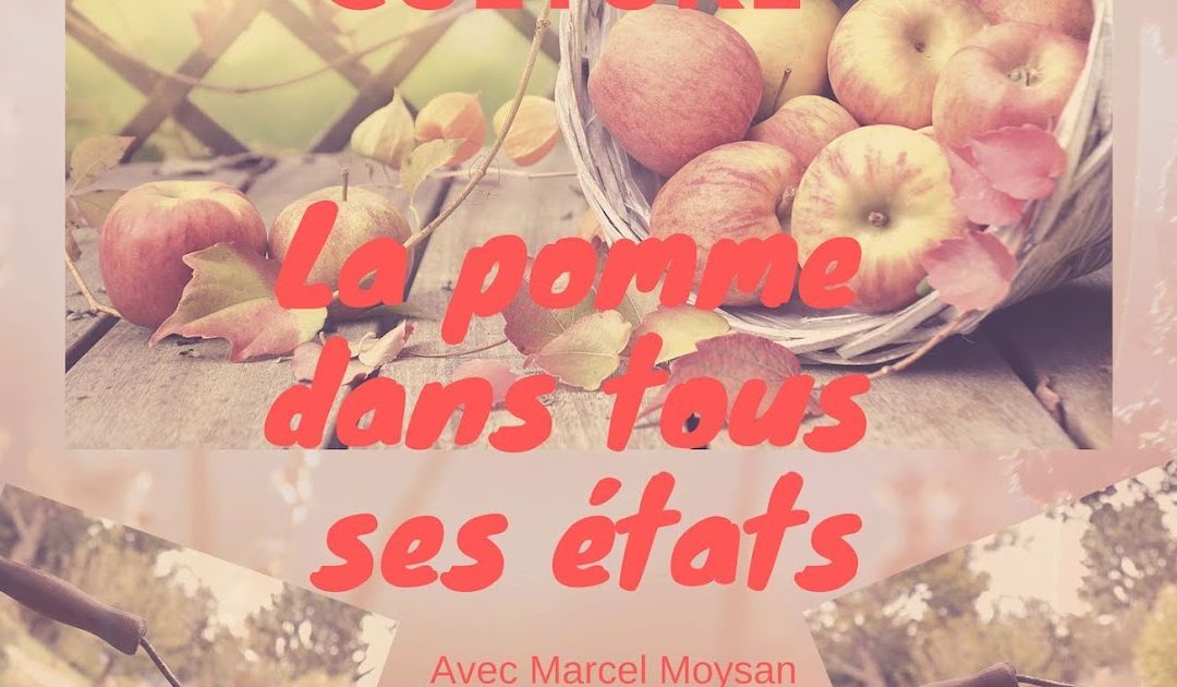 Le fruits dans tous ses états